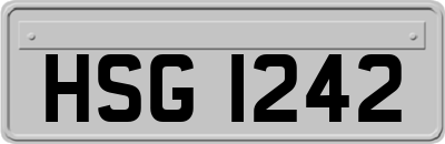 HSG1242