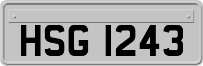 HSG1243