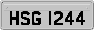 HSG1244
