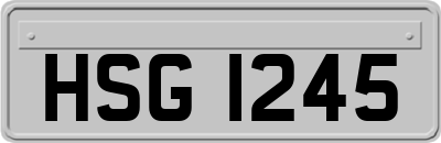 HSG1245