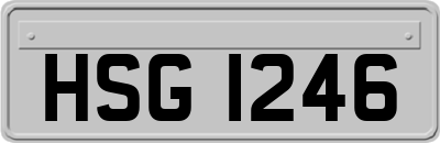 HSG1246