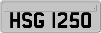 HSG1250