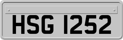 HSG1252