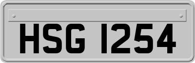 HSG1254