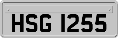 HSG1255