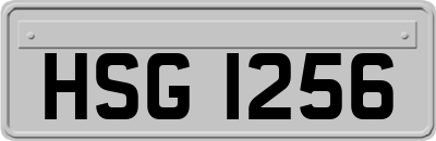 HSG1256