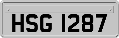 HSG1287
