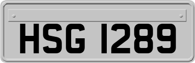 HSG1289