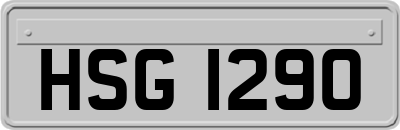 HSG1290