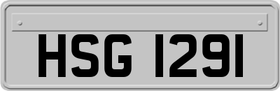 HSG1291