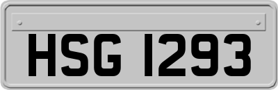 HSG1293