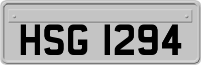 HSG1294
