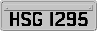 HSG1295