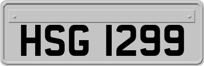 HSG1299