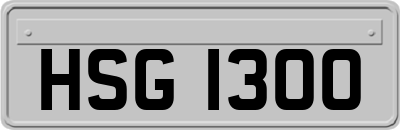 HSG1300