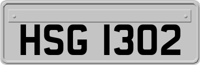 HSG1302