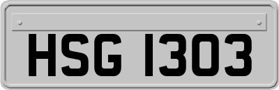 HSG1303