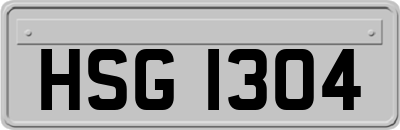 HSG1304