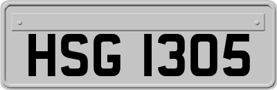 HSG1305
