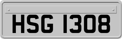 HSG1308