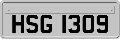 HSG1309