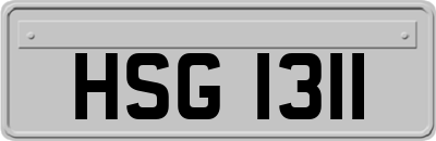 HSG1311