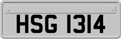 HSG1314