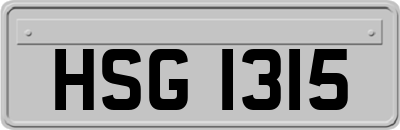 HSG1315