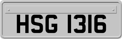 HSG1316