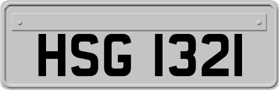 HSG1321