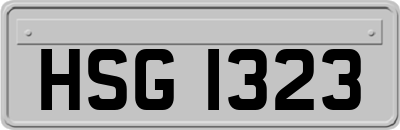 HSG1323