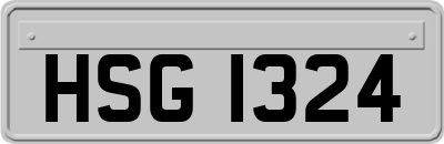 HSG1324