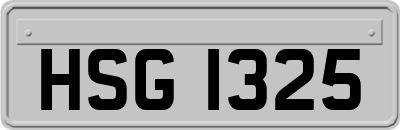 HSG1325