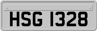 HSG1328