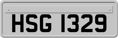 HSG1329