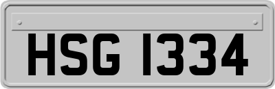 HSG1334