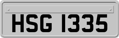 HSG1335
