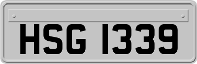 HSG1339
