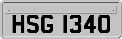HSG1340