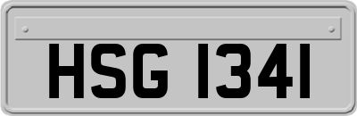 HSG1341
