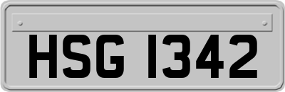 HSG1342