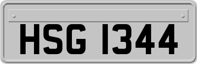HSG1344