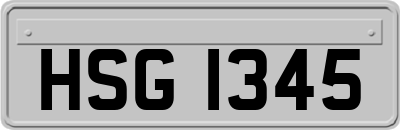 HSG1345