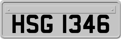 HSG1346