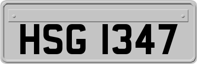 HSG1347