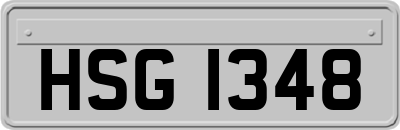 HSG1348