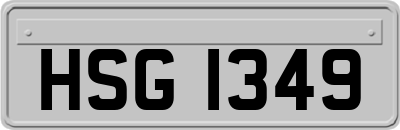 HSG1349