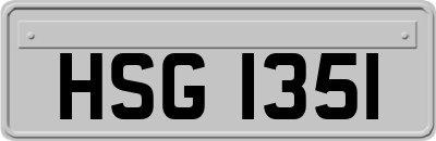 HSG1351