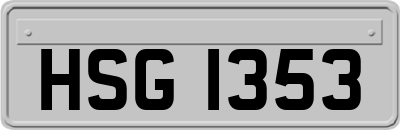 HSG1353