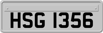 HSG1356